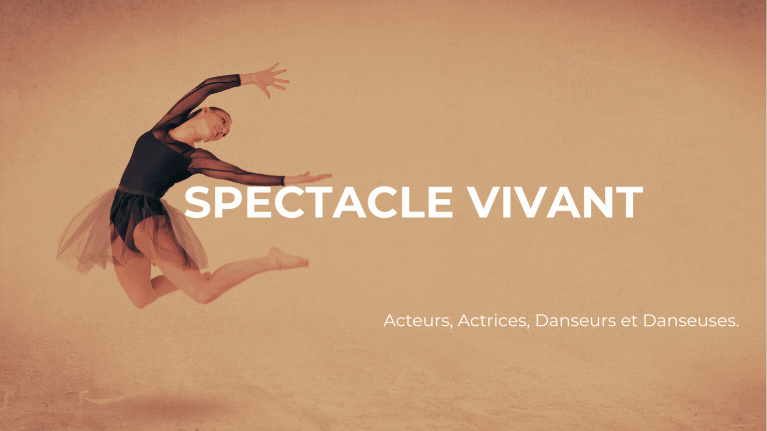 Le Meilleur Spectacle
